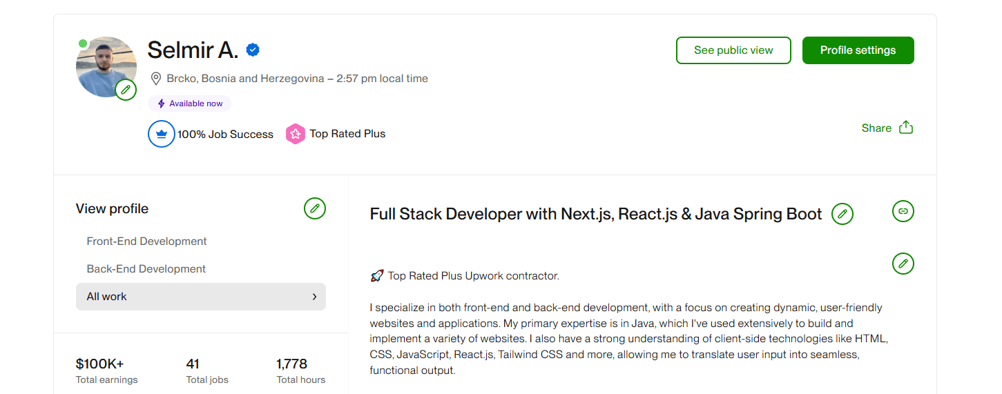 Upwork Profile - 100% Job Success Rate and Top Rated Plus